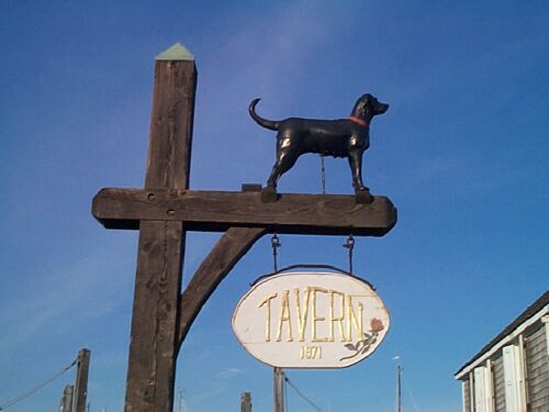 Black Dog Tavern