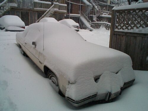 Snowstorm in Montreal, Canada