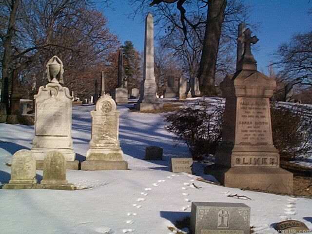 Greenwood Cemetery © jvb